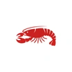 Netpilot App Openclaw Framework icon