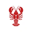 PENTONCOS Xiaoshaozi Starter Kit icon